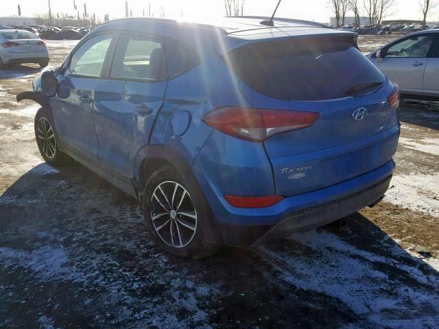 KM8J3CA29GU043098 - 2016 HYUNDAI TUCSON LIM BLUE photo 3