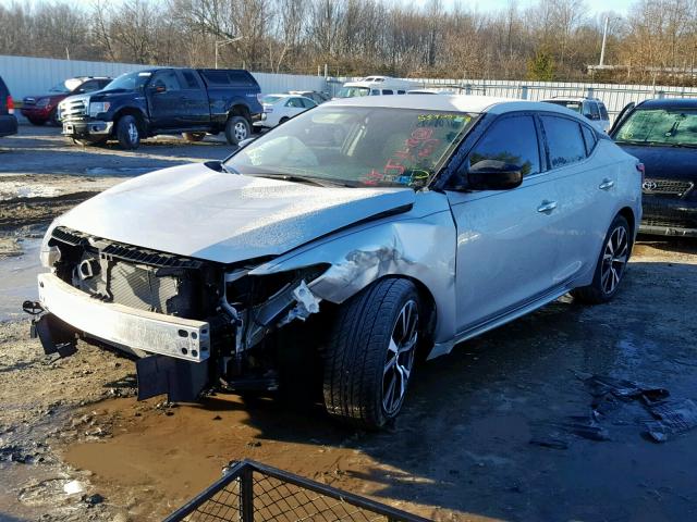 1N4AA6AP4HC443266 - 2017 NISSAN MAXIMA 3.5 SILVER photo 2