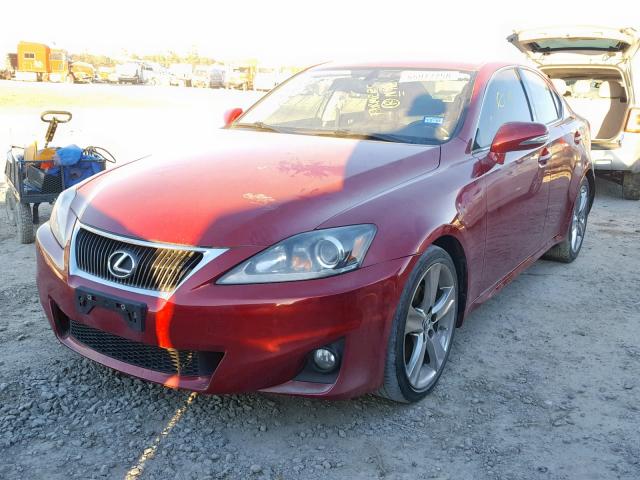 JTHBF5C24C5171034 - 2012 LEXUS IS 250 RED photo 2