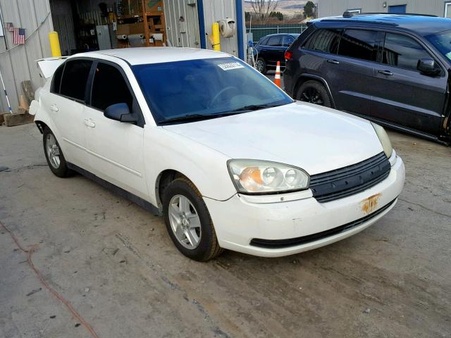 1G1ZT528X5F300723 - 2005 CHEVROLET MALIBU LS Ağ foto 1