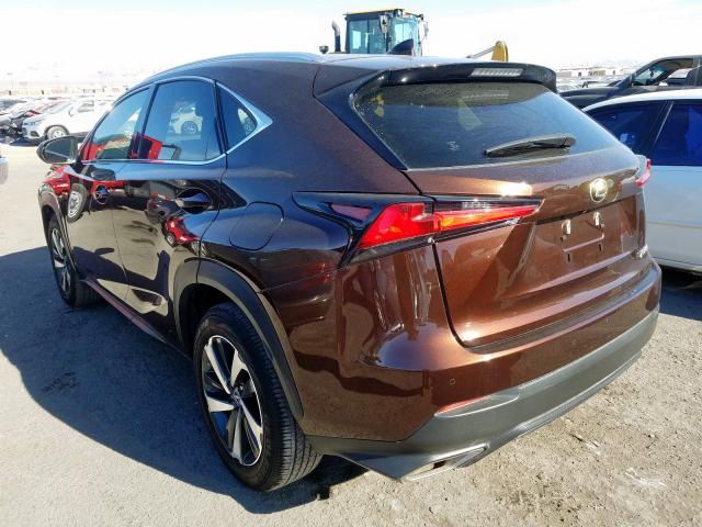 JTJYARBZ5J2104521 - 2018 LEXUS NX 300 BASE  photo 3