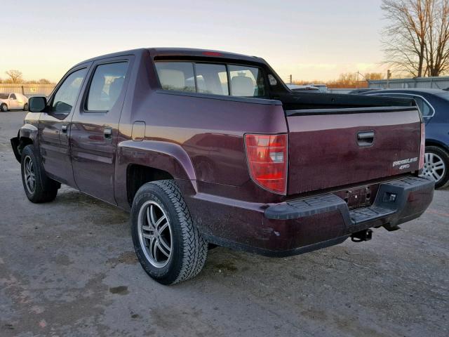 5FPYK16219B105230 - 2009 HONDA RIDGELINE PURPLE photo 3