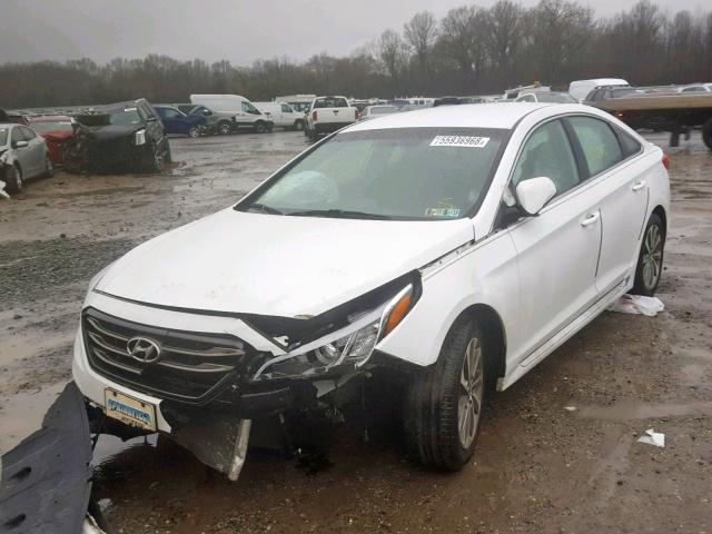 5NPE34AF0FH023250 - 2015 HYUNDAI SONATA SPO WHITE photo 2