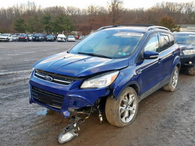 1FMCU9J90EUA10221 - 2014 FORD ESCAPE TIT BLUE photo 2