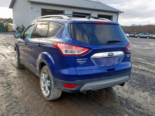 1FMCU9J90EUA10221 - 2014 FORD ESCAPE TIT BLUE photo 3