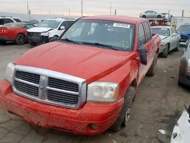 1D7HW48N95S167466 - 2005 DODGE DAKOTA QUA RED photo 2