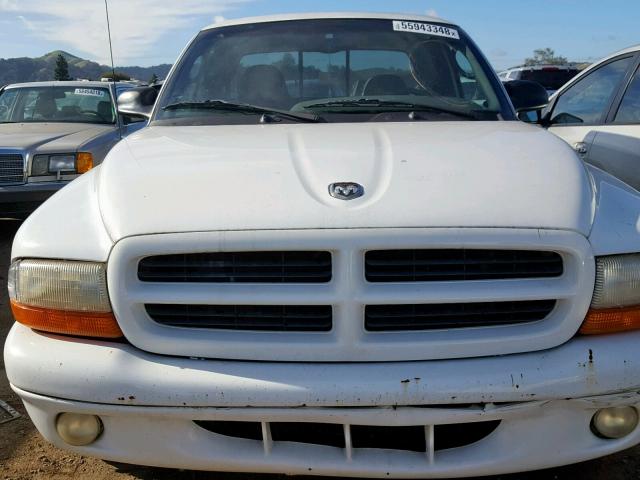 1B7GL22Z6YS617934 - 2000 DODGE DAKOTA WHITE photo 9