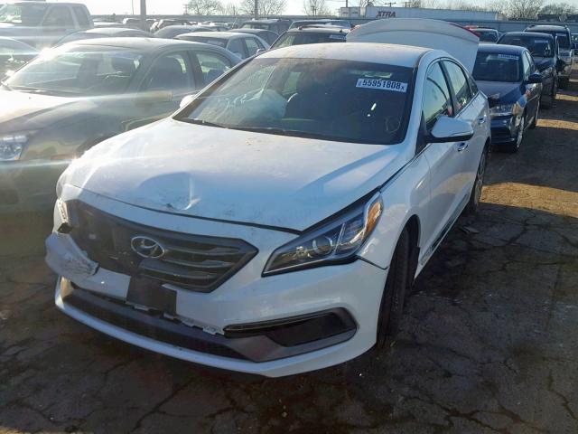 5NPE34AF6FH237465 - 2015 HYUNDAI SONATA SPO WHITE photo 2