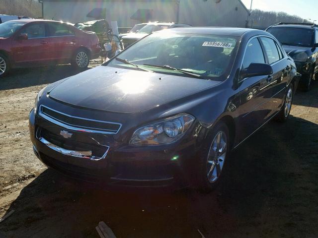 1G1ZD5EB3AF258152 - 2010 CHEVROLET MALIBU 2LT BLUE photo 2