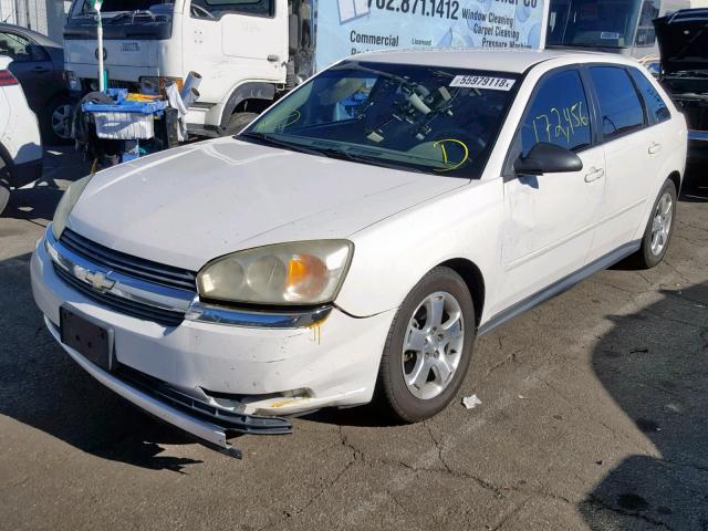 1G1ZT62805F280438 - 2005 CHEVROLET MALIBU MAX WHITE photo 2