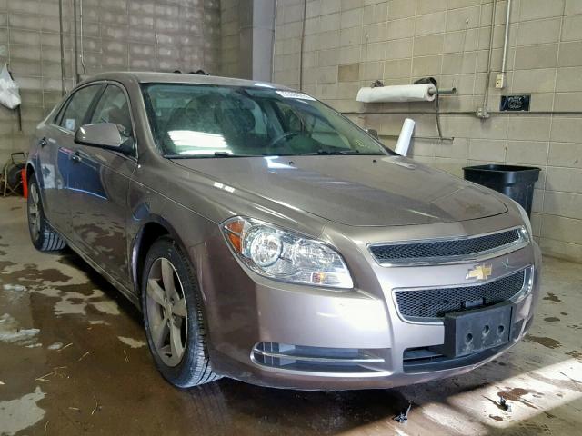 1G1ZC5EU9BF103174 - 2011 CHEVROLET MALIBU 1LT ბეჟი ფოტო 1