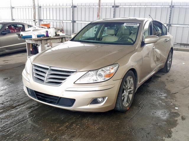 KMHGC4DF5BU132657 - 2011 HYUNDAI GENESIS 4. GOLD photo 2