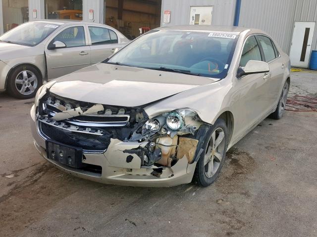 1G1ZC5E13BF386872 - 2011 CHEVROLET MALIBU 1LT GOLD photo 2