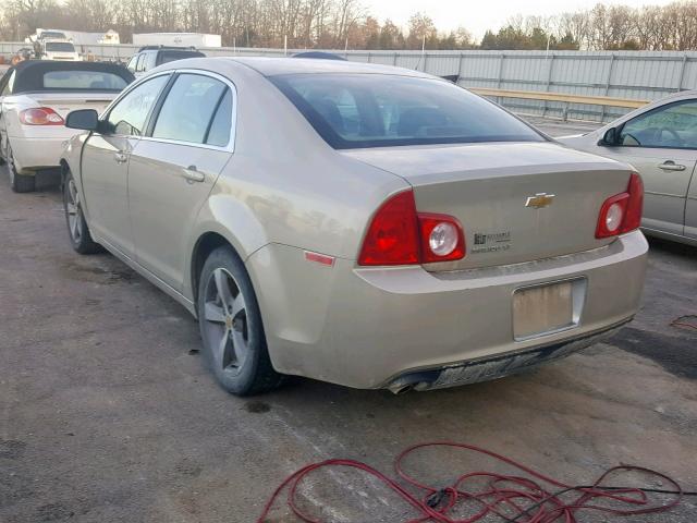 1G1ZC5E13BF386872 - 2011 CHEVROLET MALIBU 1LT GOLD photo 3