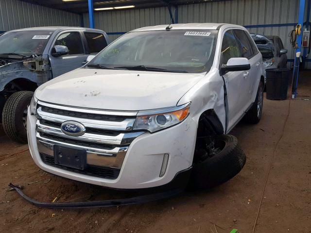 2FMDK4JC2CBA41336 - 2012 FORD EDGE SEL WHITE photo 2