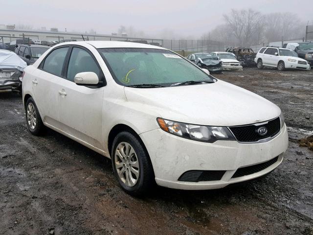 KNAFU4A26A5105441 - 2010 KIA FORTE EX WHITE photo 1