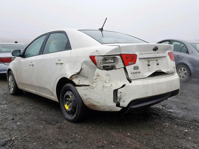 KNAFU4A26A5105441 - 2010 KIA FORTE EX WHITE photo 3