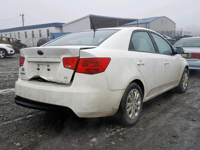 KNAFU4A26A5105441 - 2010 KIA FORTE EX WHITE photo 4