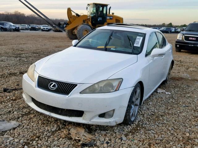 JTHBK262295087079 - 2009 LEXUS IS 250 WHITE photo 2