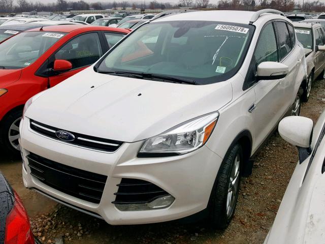 1FMCU9J95EUE12574 - 2014 FORD ESCAPE TIT WHITE photo 2