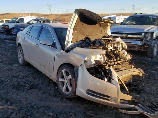 1G1ZC5EUXBF115415 - 2011 CHEVROLET MALIBU 1LT 银色 照片 1