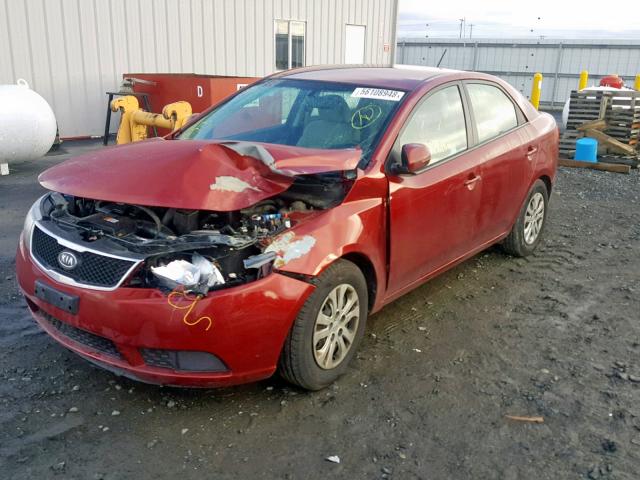 KNAFU4A27C5511909 - 2012 KIA FORTE EX RED photo 2