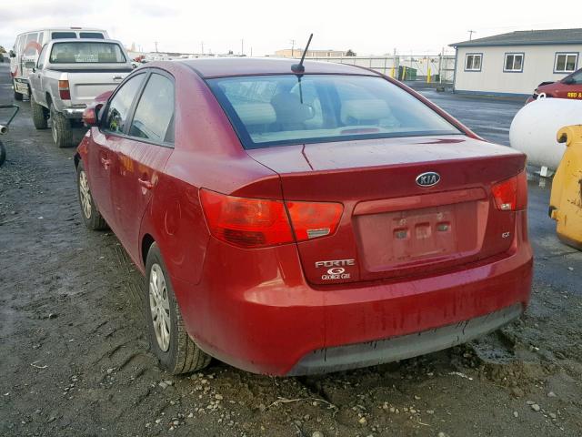 KNAFU4A27C5511909 - 2012 KIA FORTE EX RED photo 3