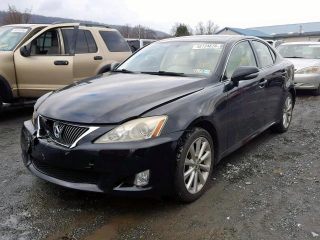 JTHCK262692028431 - 2009 LEXUS IS 250 BLACK photo 2