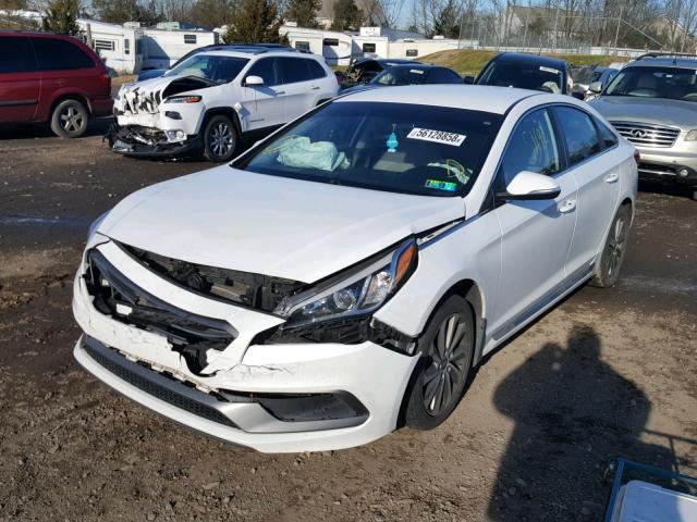 5NPE34AF7FH141800 - 2015 HYUNDAI SONATA SPO WHITE photo 2