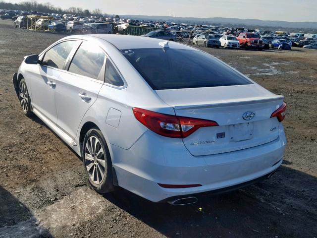 5NPE34AF7FH141800 - 2015 HYUNDAI SONATA SPO WHITE photo 3