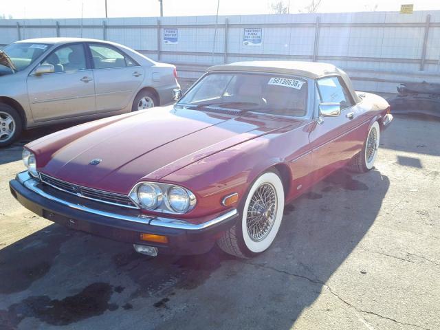 SAJNV5848JC144599 - 1988 JAGUAR XJS RED photo 2