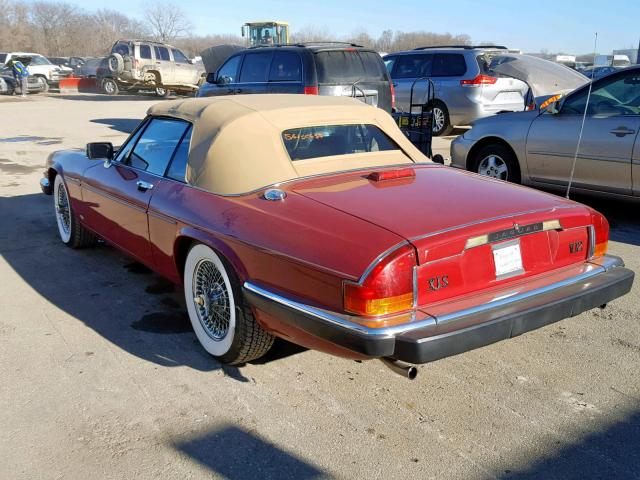 SAJNV5848JC144599 - 1988 JAGUAR XJS RED photo 3