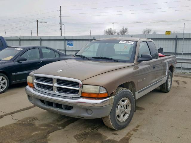 1B7GL22X01S170635 - 2001 DODGE DAKOTA TAN photo 2