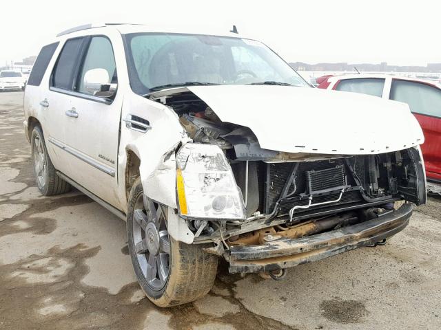 1GYS3CEF9BR142693 - 2011 CADILLAC ESCALADE P WHITE photo 1