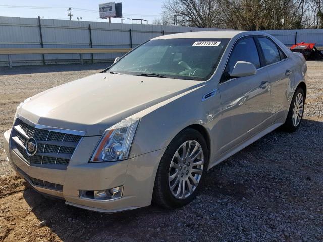 1G6DJ5EV6A0123869 - 2010 CADILLAC CTS PERFOR CREAM photo 2