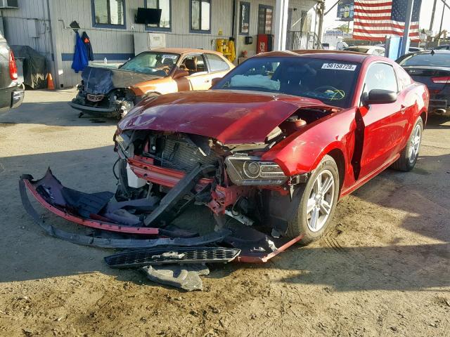 1ZVBP8AM6E5278381 - 2014 FORD MUSTANG BURGUNDY photo 2