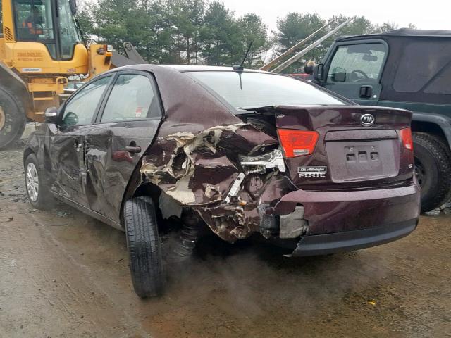 KNAFU4A2XA5301477 - 2010 KIA FORTE EX BURGUNDY photo 3