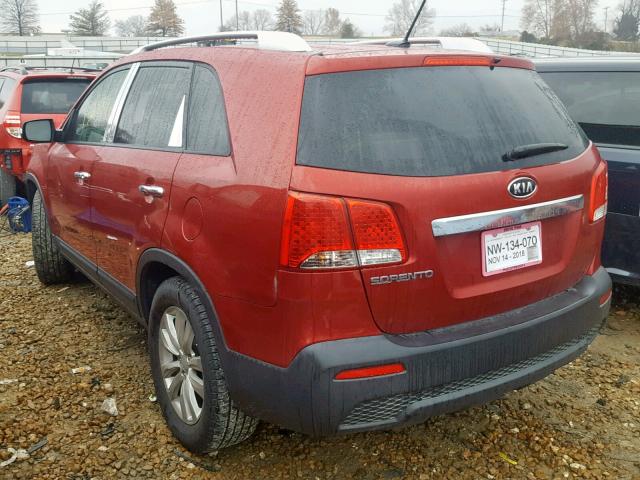 5XYKT4A21BG057117 - 2011 KIA SORENTO BA RED photo 3