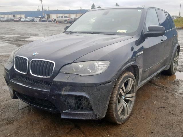 5YMGY0C54ALK25401 - 2010 BMW X5 M BLUE photo 2