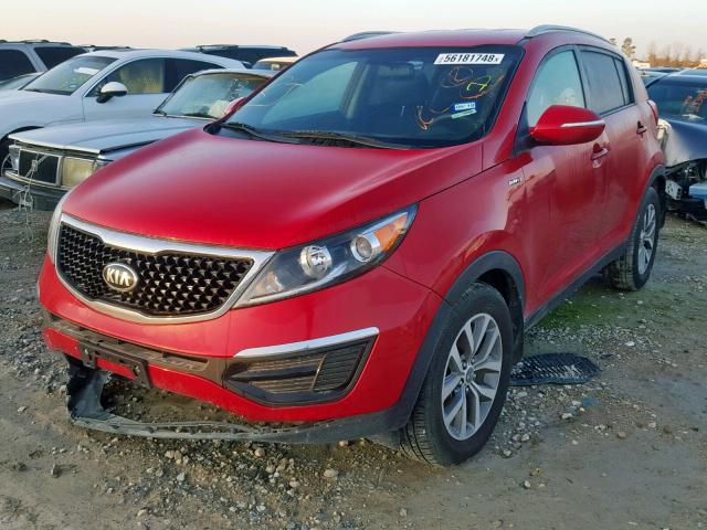 KNDPBCAC4E7566289 - 2014 KIA SPORTAGE L RED photo 2