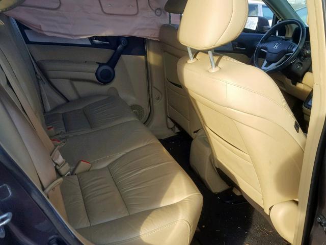 5J6RE4H70AL068164 - 2010 HONDA CR-V EXL BEIGE photo 6