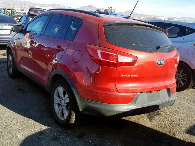 KNDPB3A25D7515681 - 2013 KIA SPORTAGE B RED photo 3