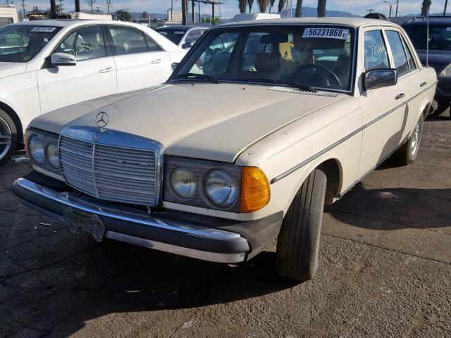 WDBAB30A7BB224140 - 1981 MERCEDES-BENZ 300 D CREAM photo 2