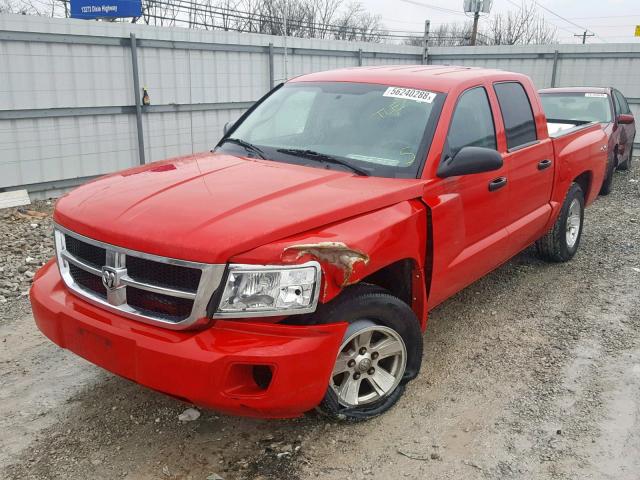 1D7HW48NX8S626539 - 2008 DODGE DAKOTA QUA RED photo 2