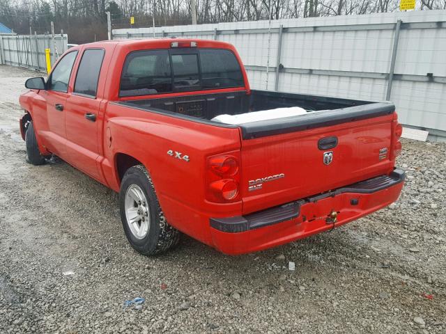 1D7HW48NX8S626539 - 2008 DODGE DAKOTA QUA RED photo 3