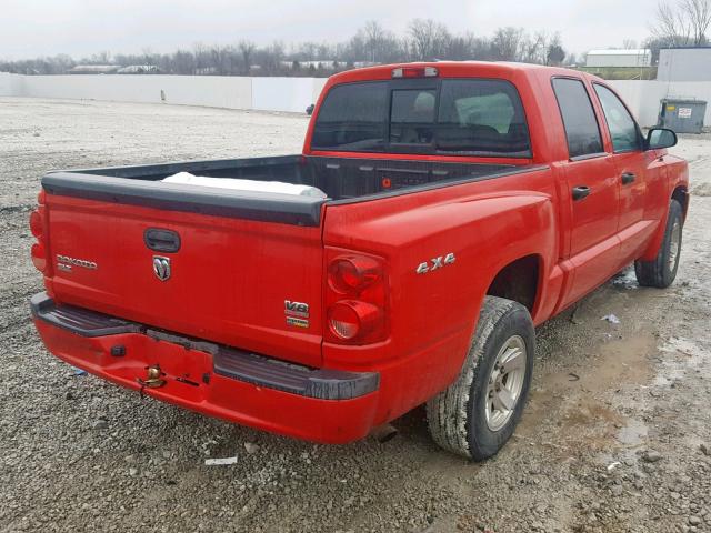 1D7HW48NX8S626539 - 2008 DODGE DAKOTA QUA RED photo 4