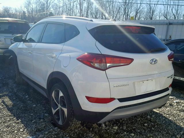 KM8J3CA23HU374387 - 2017 HYUNDAI TUCSON LIM WHITE photo 3