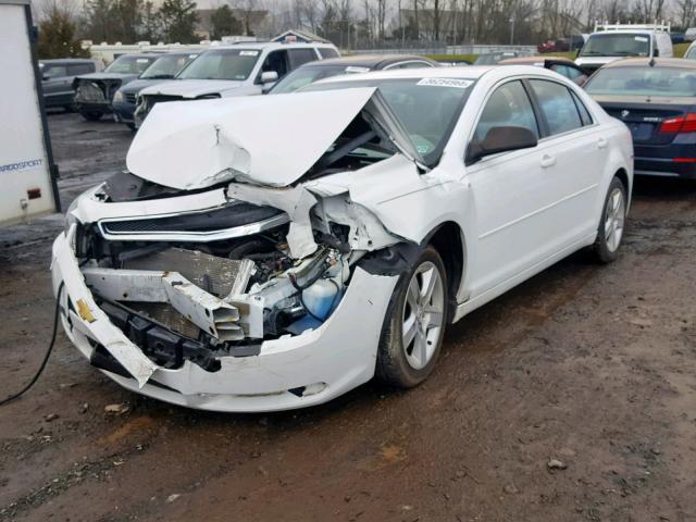 1G1ZB5E08CF195833 - 2012 CHEVROLET MALIBU LS თეთრი ფოტო 2