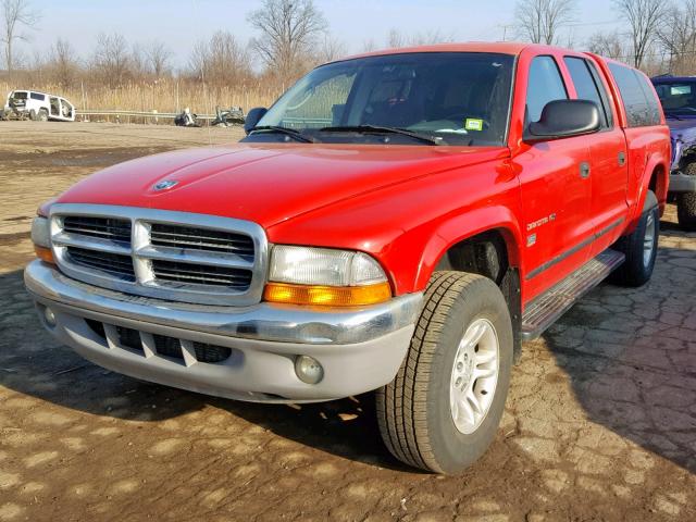 1B7HG2AN81S246093 - 2001 DODGE DAKOTA QUA RED photo 2