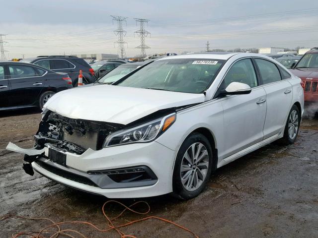 5NPE34AF0HH467487 - 2017 HYUNDAI SONATA SPO WHITE photo 2